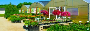 Bonnie Brooke Gardens, Greenhouses in Door county Wisconsin